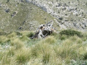 IMG_4801 (Medium)